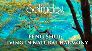 Dan Gibson’s Solitudes  The Purest Water  Feng Shui Living in Natural Harmony [upl. by Adnilra299]