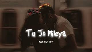 JUSS  Tu Jo Mileya Slowed amp ReverbMixSingh  New Punjabi Romantic Song 2024  Mohib Beats [upl. by Enyaj301]