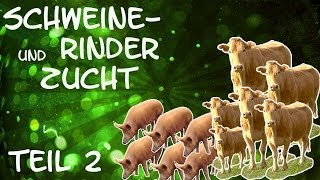 Teil 2 Schweine und Rinderzucht Betrieb mit Reallocutus Hardstyler und Karvon  LS 13 Mod Test [upl. by Schurman]