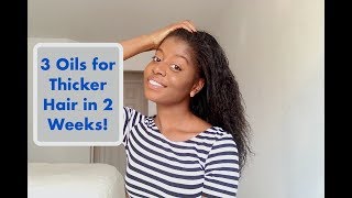 3 Oils to Get Thicker Hair Really Fast [upl. by Eivod207]