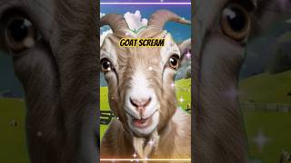 Goat Screams shorts  Sound Effects [upl. by Anuat]