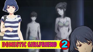 Domestic Girlfriend season 1 Episode 2 in hindi  Anime explanation in hindi  CARRY ANIME [upl. by Leann]