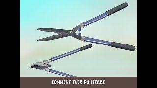 Comment tuer du lierre [upl. by Riannon]