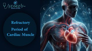 Refractory Period of Cardiac Muscle Key Concepts [upl. by Zeni]