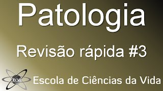 Revisão rápida de Patologia 3 mal de Alzheimer [upl. by Etnovahs]