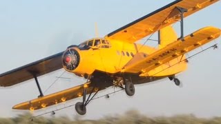 PZLMielec An2 mosquito control at Szeged airport Hungary [upl. by Anabel199]