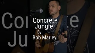 Concrete JungleBob Marley Cover [upl. by Chuah]