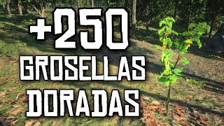 Ubicación Grosella Dorada  Red Dead Redemption 2 [upl. by Range]