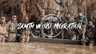 Duck Hunting Sunshine and South Winds BIG MIGRATION [upl. by Witcher]