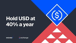 How to stake USDC 40 APY with lowest risks [upl. by Aicirtap]