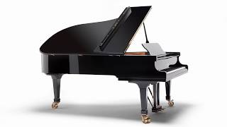 Fazioli f228 Grand Piano for sale [upl. by Resneps]