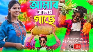 amar hawser dalim gase duita dalim আমাৰ হাউসেৰ ডালিম গাছে দুইটা ডালিম ধৈৰাছে। Jabbar amp gulshana [upl. by Wendall296]