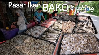 Sarawak Kuching PASAR IKAN BAKO🐟Hasil tangkapan nelayan kampung Bako👍Kita support gais🙏 [upl. by Nomled522]