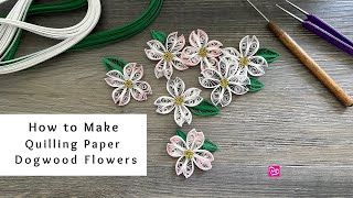 How to Make Quilling Paper Dogwood Flowers  Quilling for Beginners [upl. by Vocaay]