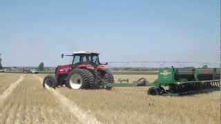 Buhler Versatile 2160 Tractor planting soybeans into wheat stubble [upl. by Fugazy626]