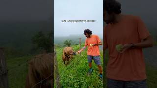 Day 6 🥾 Camino del Norte txirimiri new friends epic rainstorms [upl. by Savdeep412]