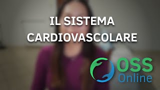 IL SISTEMA CARDIOVASCOLARE  OSS Online [upl. by Baoj]