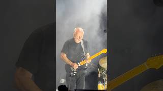 Comfortably Numb  David Gilmour Live at Crico Massimo Rome 2024 davidgilmour pinkfloyd rock [upl. by Evy610]