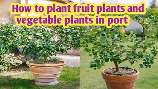 How to plant fruit plants and vegetable plants in port explorewithahmad21 [upl. by Brazee]