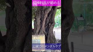 精神科医が勧める「公園」でできる日常のメンタルケア [upl. by Randie]