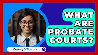 What Are Probate Courts  CountyOfficeorg [upl. by Krystle]