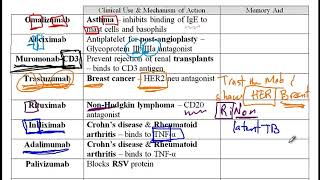 USMLE ACE Video 55 Monoclonal antibody medications [upl. by Brunk]