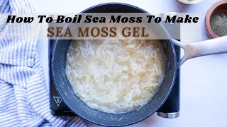 How To Boil Sea Moss To Make Sea Moss Gel AND Infuse it with Superfoods [upl. by Bach]