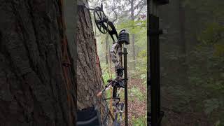 Deer season 2024deerhunter bowhunting bowhunt hunting beararchery [upl. by Graham]