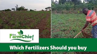 Benefits of applying artificial Fertilizers [upl. by Clite]