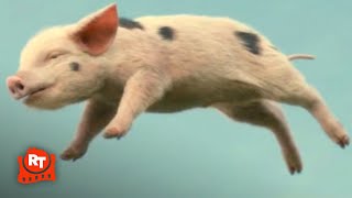 Nanny McPhee Returns 2010  The Flying Piglets Dance Scene  Movieclips [upl. by Basile]