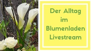 Livestream 79 Neues entsteht für den Blumenladen [upl. by Hcire]