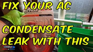 Quick and Easy Guide Unclogging Your AC Drain [upl. by Secnarf423]