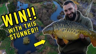 Headlands Farm Fishery  Carp Fishing  Fishing in Hampshire  Holiday Destination [upl. by Eissej]