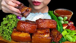 Braised Pork Belly Spicy Fish Paste amp White Rice  MUKBANG SOUNDS [upl. by Atnahsal]