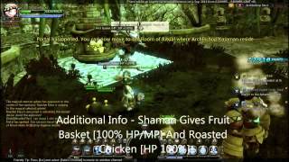 Dragon Nest SEA Archbishop Nest Solo And Guide [upl. by Damalis]