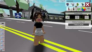 ROBLOX BROOKHAVEN AYŞEM ECE ARI KODLARI [upl. by Yak]