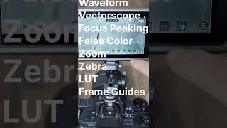 ATOMOS Ninja V Monitoring Features Waveform Vestorscope LUT [upl. by Lefty67]