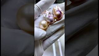 1011 Live Pearl Oyster Clam Mussel open dig pearls find pearls hunt pearls pearl shorts jewelry [upl. by Ttenna]