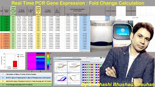 How to Analyze Real time PCR Data  Real Time PCR Gene Expression Fold Change Calculation [upl. by Hgielrebmik148]