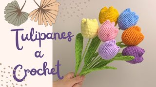 Tulipanes a Crochet  Paso a paso [upl. by Lundberg]