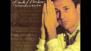 Ricardo Montaner  Tan enamorados [upl. by Esmond898]