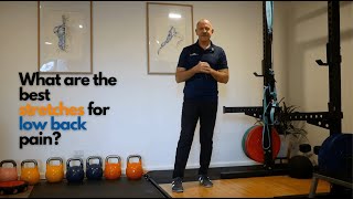 What are the best stretches for Low Back pain [upl. by Reisfield]