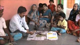 Seed treatment with trichoderma Kannada BAIF Karnataka [upl. by Gratia]