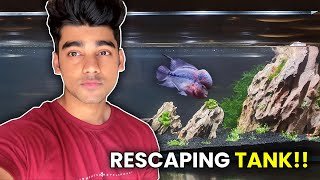 Rescaping my Flowerhorn Tank  How to Keep Flowerhorns  Care Guide amp Species Profile [upl. by Allyce]