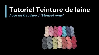 Tutoriel Teinture de laine  KIT Monochrome [upl. by Mariele]