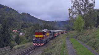 743 004 hat Steilstreckendienst [upl. by Kazimir]