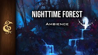 Night Time Forest  Nature Ambience  1 Hour [upl. by Okimik139]