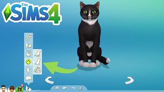 How To Add Pets To An Existing HouseholdFamily  The Sims 4 [upl. by Enelehcim]