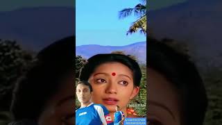 குடகு மலை காற்றில் வரும்தமிழ் பட பாடல் Kudagu MalaiTamil Movie Song by KARTHIGEYANR [upl. by Dorr]