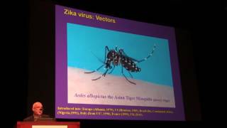 Zika Symposium at 2016 International Congress of Entomology [upl. by Akemej]